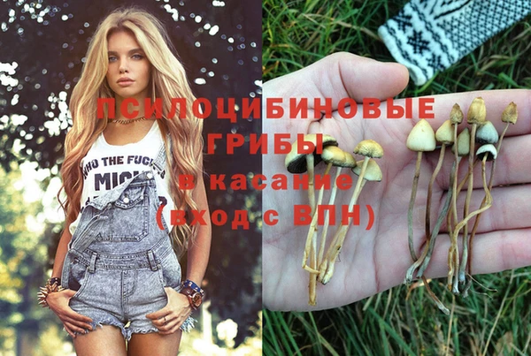 мдпв Балахна