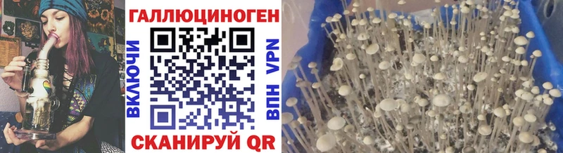 Галлюциногенные грибы мухоморы  купить  цена  Рудня 